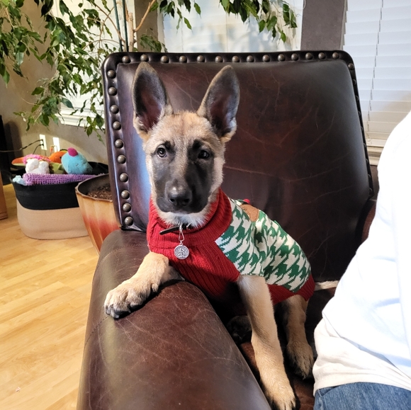 Meet your Posher, Michelle - Picture 9 of 12